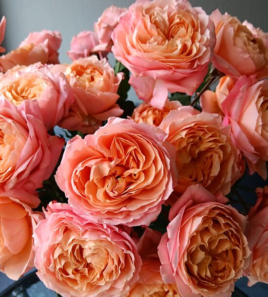 🌿 Uzticos floristam